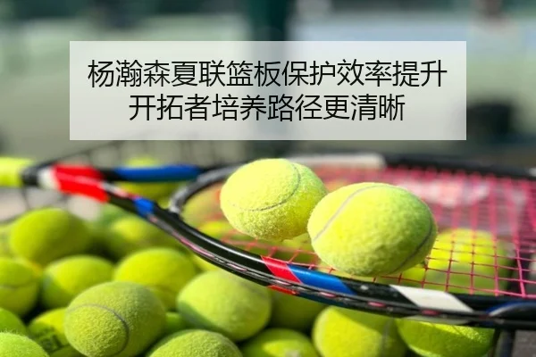 杨瀚森夏联篮板保护效率提升 开拓者培养路径更清晰